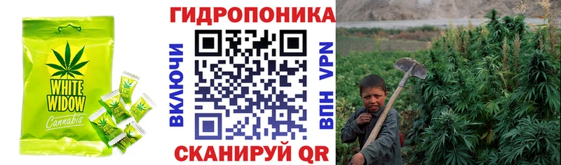 мега ССЫЛКА  Верещагино  Cannafood конопля 