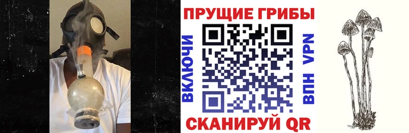 Псилоцибиновые грибы мухоморы  Верещагино 